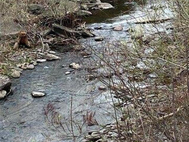 Land for sale in Haines Falls