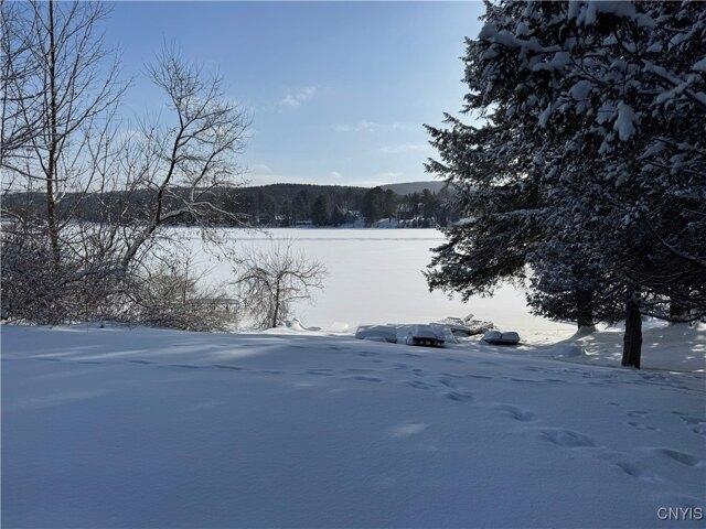Land for sale in Hamilton, New York