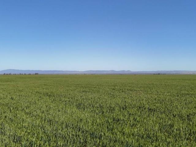 Land for sale in Hammond, The District Council of Mount Remarkable