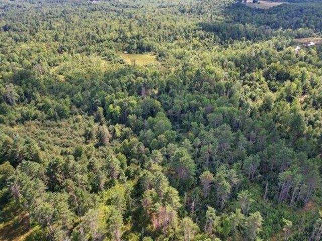 Land for sale in Hampden, Maine