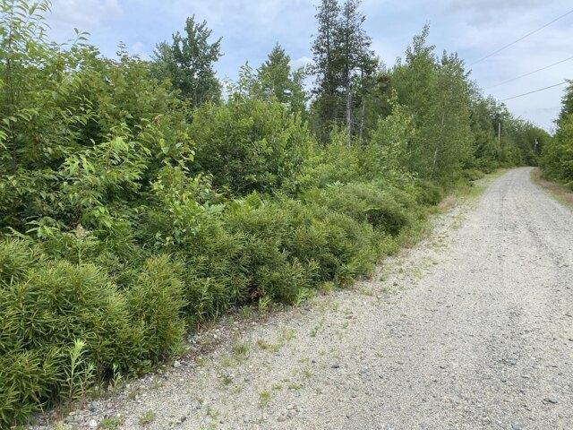 Land for sale in Hancock, Maine