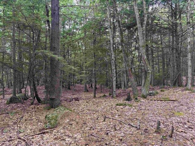 Land for sale in New Hampshire