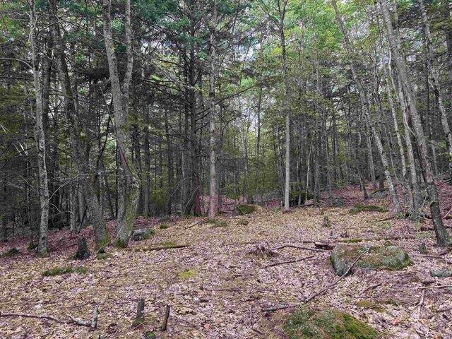 Land for sale in New Hampshire