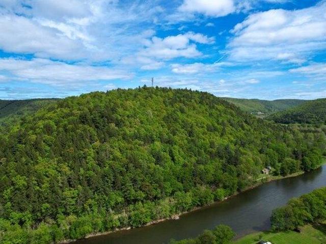 Land for sale in East Branch, New York