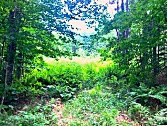 Land for sale in Hancock, Vermont