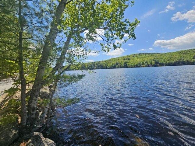 Land for sale in Hanover, Maine