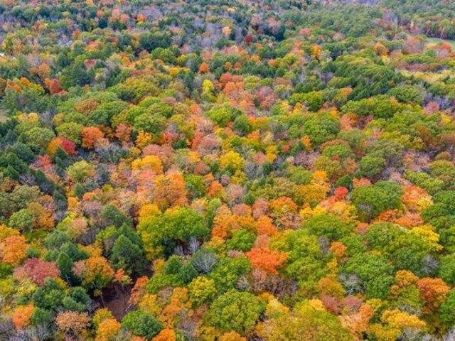 Land for sale in New Hampshire