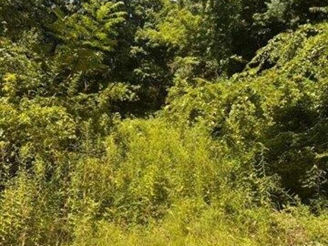 Land for sale in Hardwick, Massachusetts