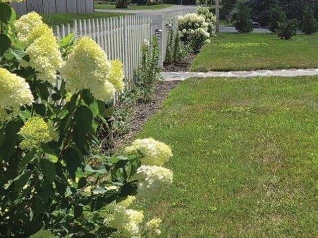Land for sale in Hardwick, Massachusetts