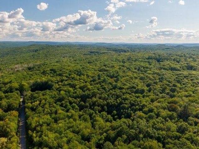 Land for sale in Hardwick, Worcester County