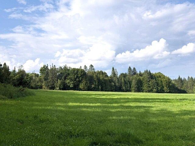 Land for sale in Hardwick, Vermont