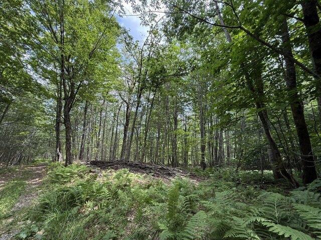 Land for sale in Harmony, Maine