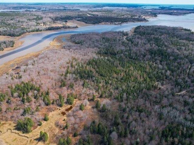 Land for sale in Harrington, Maine