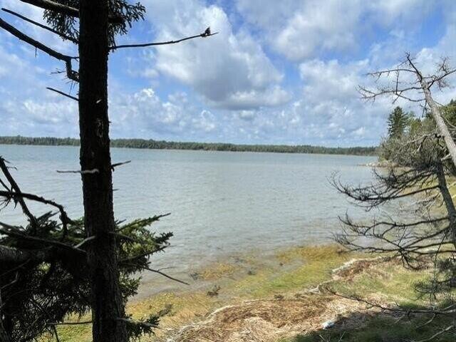 Land for sale in Harrington, Maine