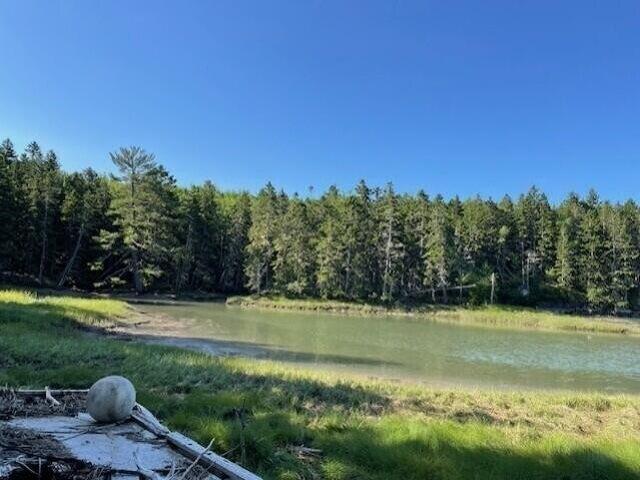 Land for sale in Harrington, Maine