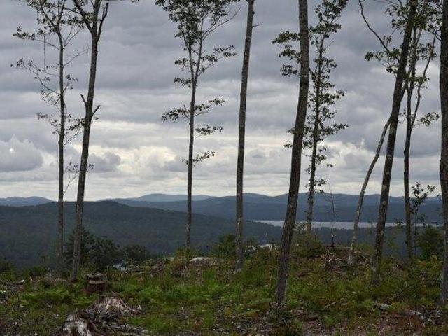 Land for sale in Harrison, Maine