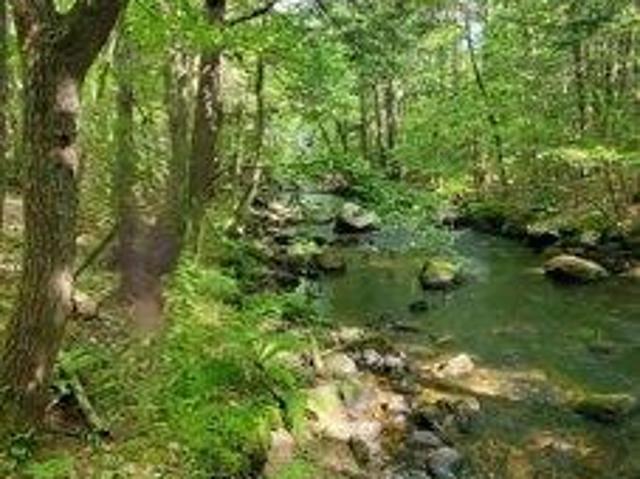 Land for sale in Harrison, Maine