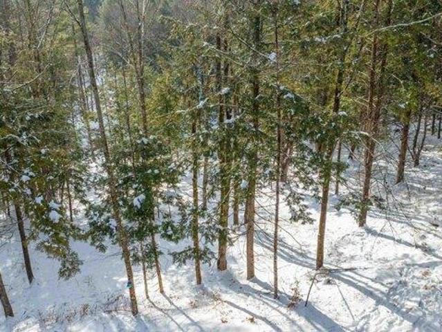 Land for sale in Plantsville, Vermont