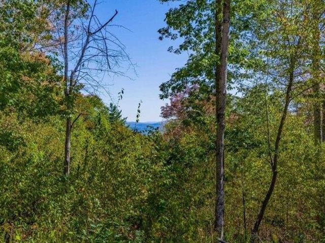 Land for sale in Plantsville, Vermont