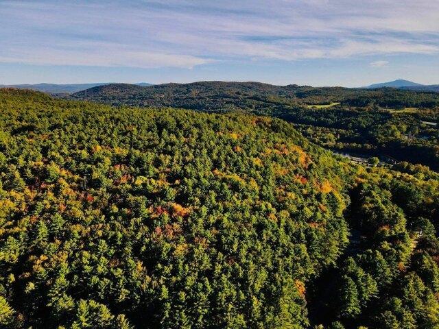 Land for sale in Plantsville, Vermont
