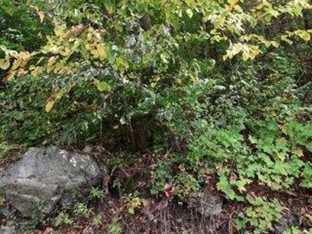 Land for sale in Plantsville, Vermont
