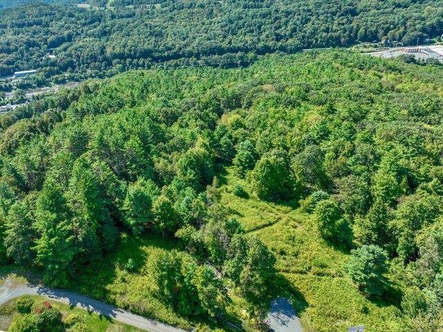 Land for sale in Plantsville, Vermont