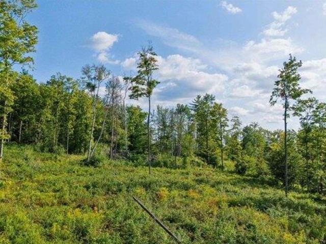 Land for sale in Plantsville, Vermont