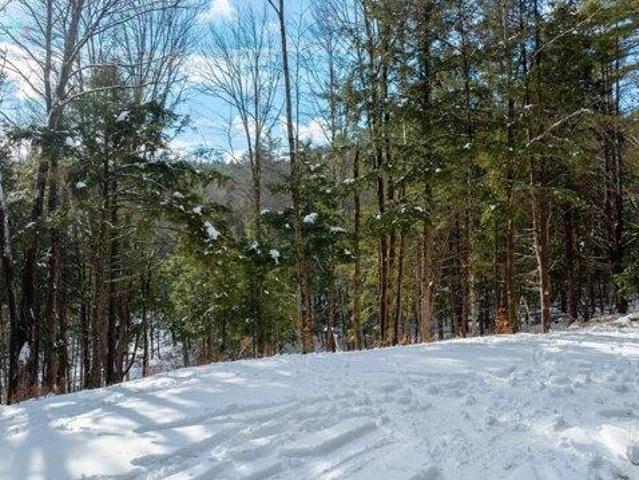 Land for sale in Plantsville, Vermont