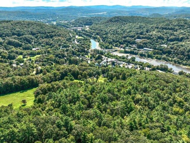 Land for sale in Plantsville, Vermont