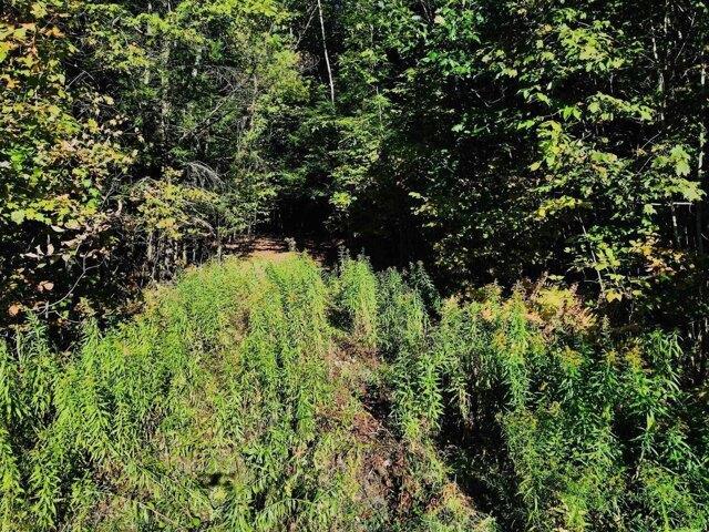 Land for sale in Plantsville, Vermont
