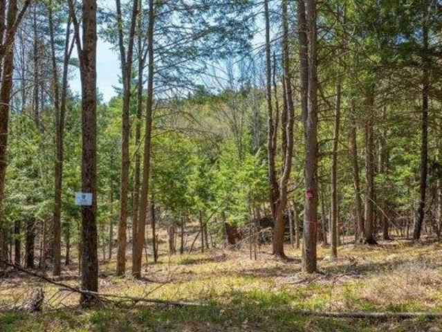 Land for sale in Plantsville, Vermont