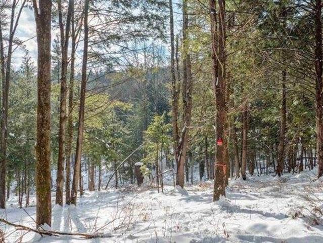 Land for sale in Plantsville, Vermont