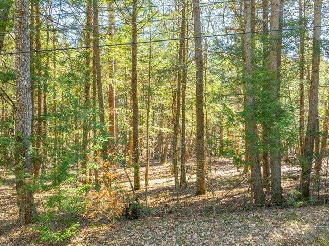 Land for sale in Plantsville, Vermont