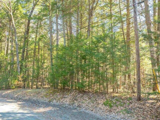 Land for sale in Plantsville, Vermont