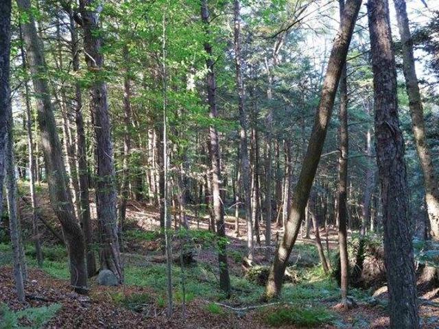Land for sale in Plantsville, Vermont