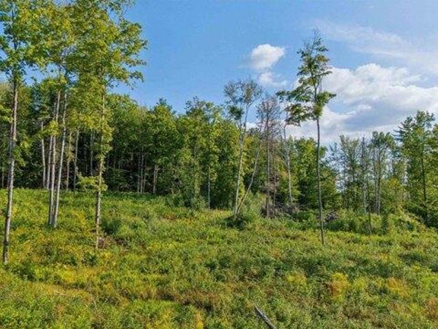 Land for sale in Plantsville, Vermont