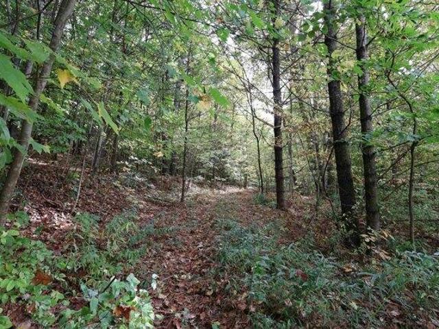 Land for sale in Plantsville, Vermont