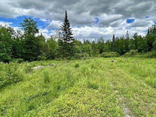 Land for sale in Hartland, Maine