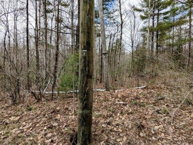 Land for sale in Canaan, Somerset County