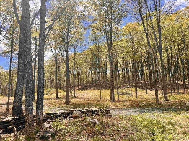 Land for sale in Hartland, Vermont