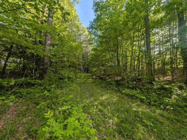 Land for sale in Hartland, Vermont