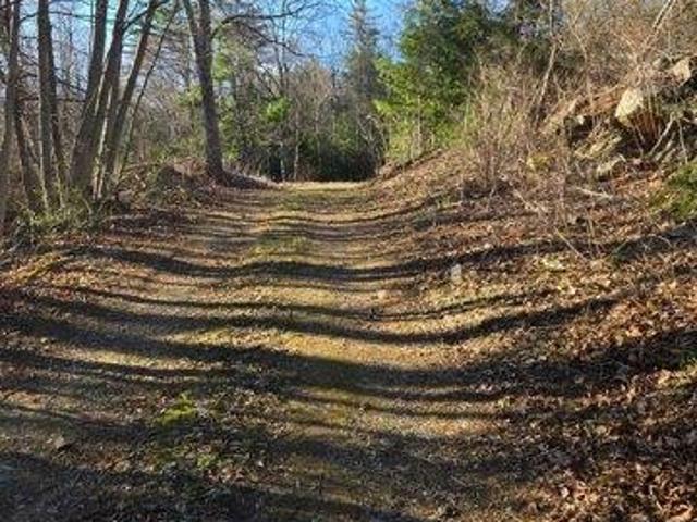 Land for sale in Harwinton, Connecticut