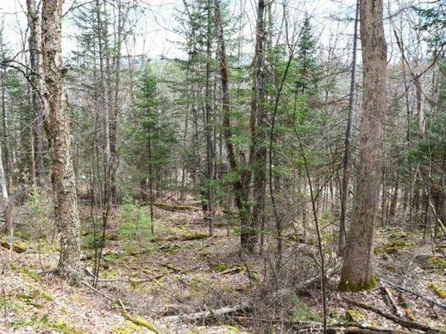 Land for sale in Haverhill, Grafton County