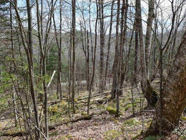 Land for sale in Haverhill, Grafton County