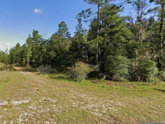 Land for sale in Hawthorne, Florida
