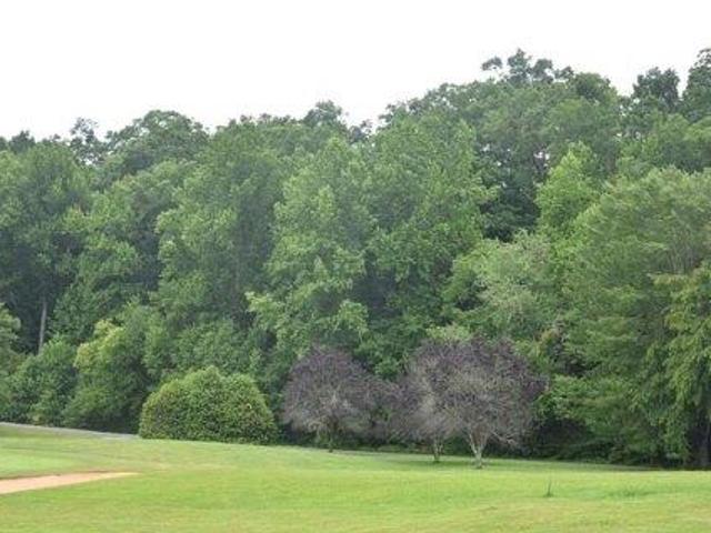 Land for sale in Hayesville, North Carolina