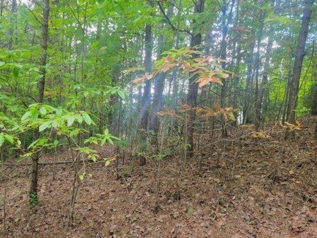 Land for sale in Hayesville, North Carolina