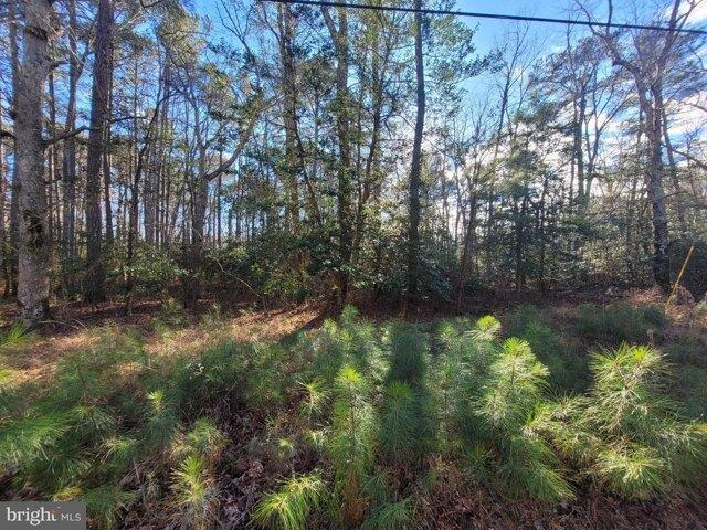 Land for sale in Virginia