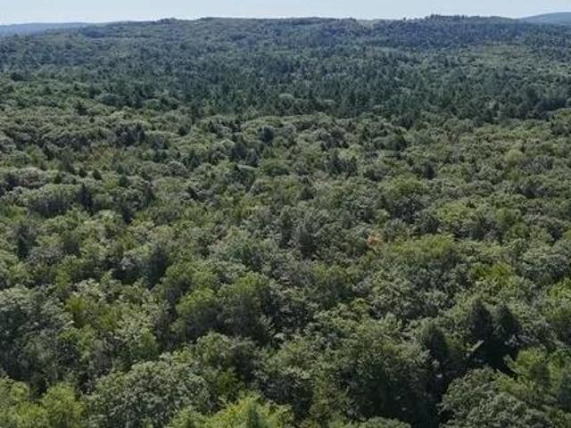 Land for sale in Hebron, Maine