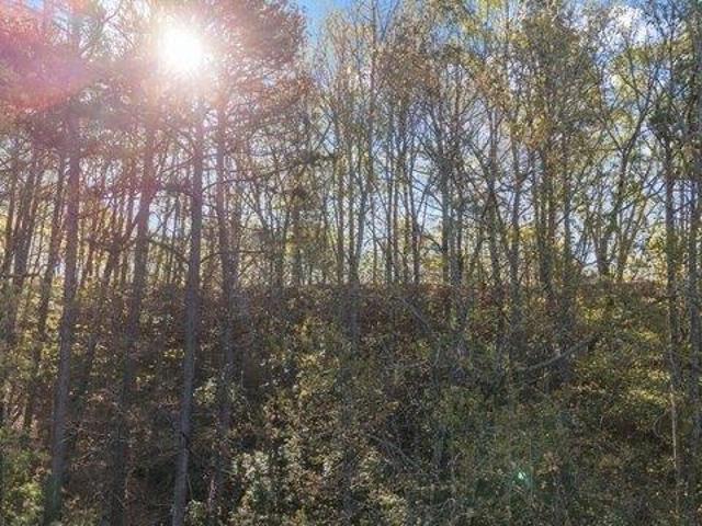 Land for sale in Helen, Georgia
